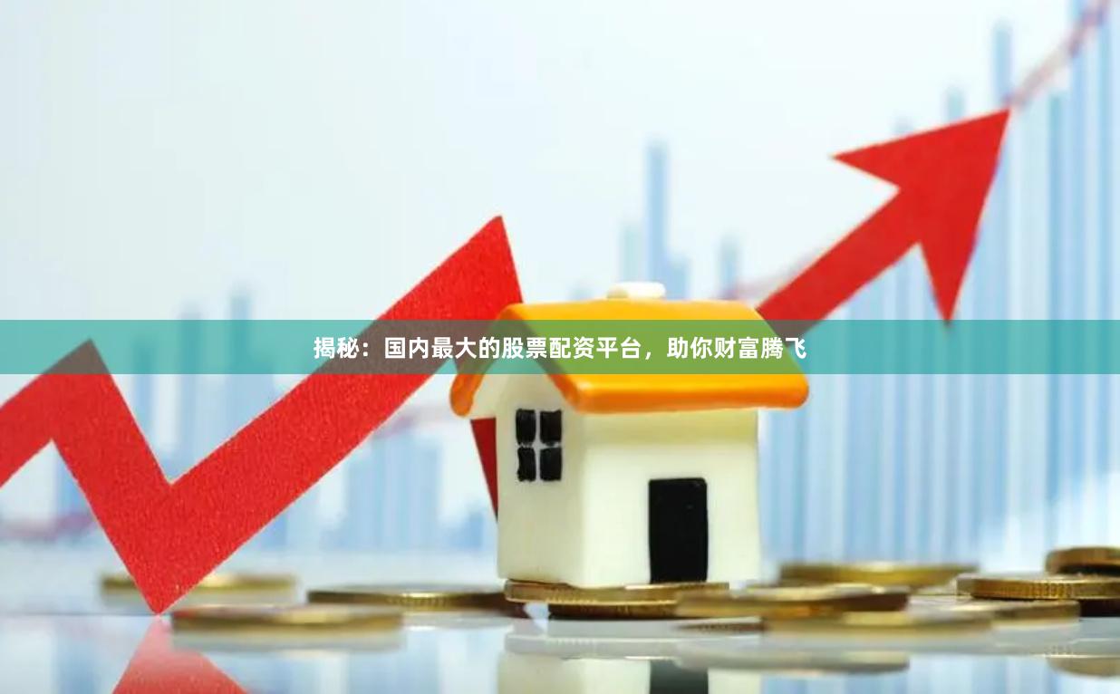 揭秘：国内最大的股票配资平台，助你财富腾飞