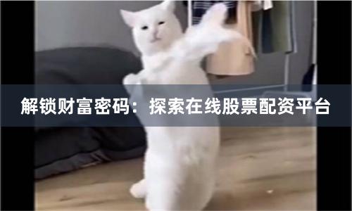 解锁财富密码：探索在线股票配资平台