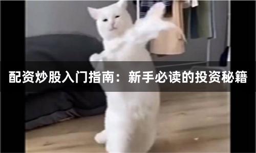 配资炒股入门指南：新手必读的投资秘籍