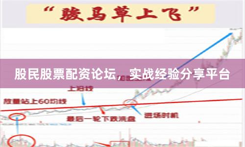 股民股票配资论坛，实战经验分享平台