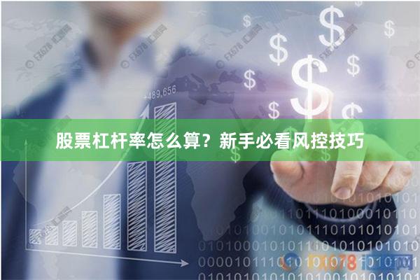 股票杠杆率怎么算？新手必看风控技巧